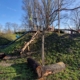 Klauterbrug voorkant De klauterbrug in de Groene Heuvels, gezien vanaf de voorkant